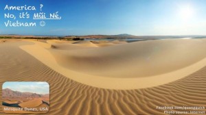 12650958_10153553174149125_3336247667165088268_n