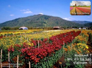 12744147_10153582897244125_7555159680543958715_n