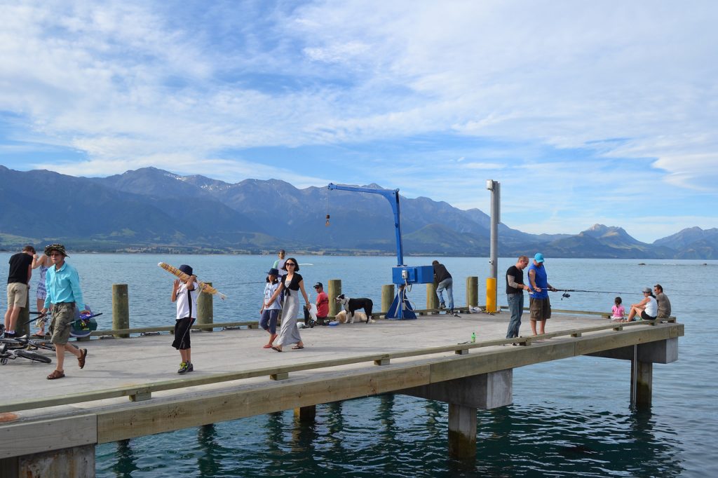Carnets de voyage en Nouvelle Zélande, Kaikoura, 03/01/2011. Photo Mathieu THOMASSET